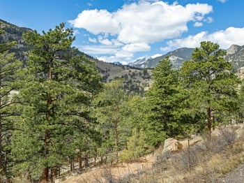 825 Castle Mountain Rd, Estes Park, CO 80517