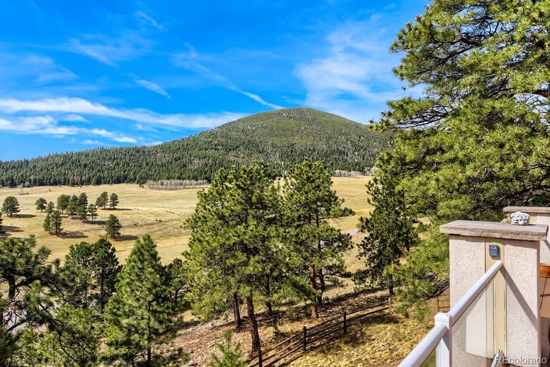 32680 El Diente Ct, Evergreen, CO 80439