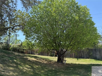 3003 Fountain Blvd, Colorado Springs, CO 80910