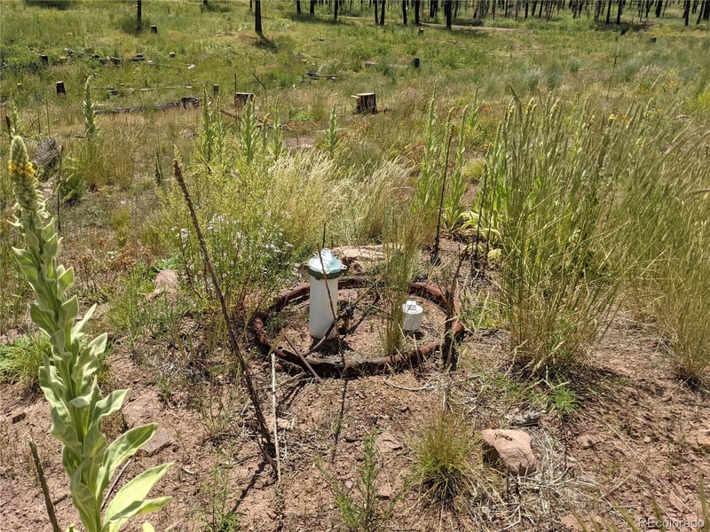 549-551 Drevs Pl, Fort Garland, CO 81133