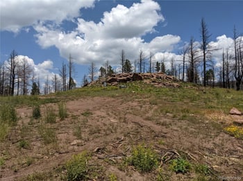 549-551 Drevs Pl, Fort Garland, CO 81133