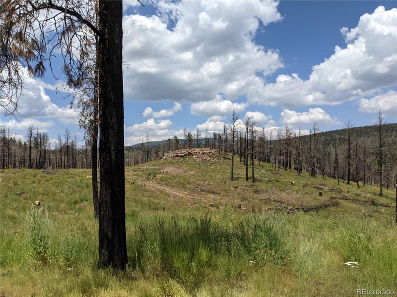 549-551 Drevs Pl Lot 549, 550, 551, Fort Garland, CO 81133