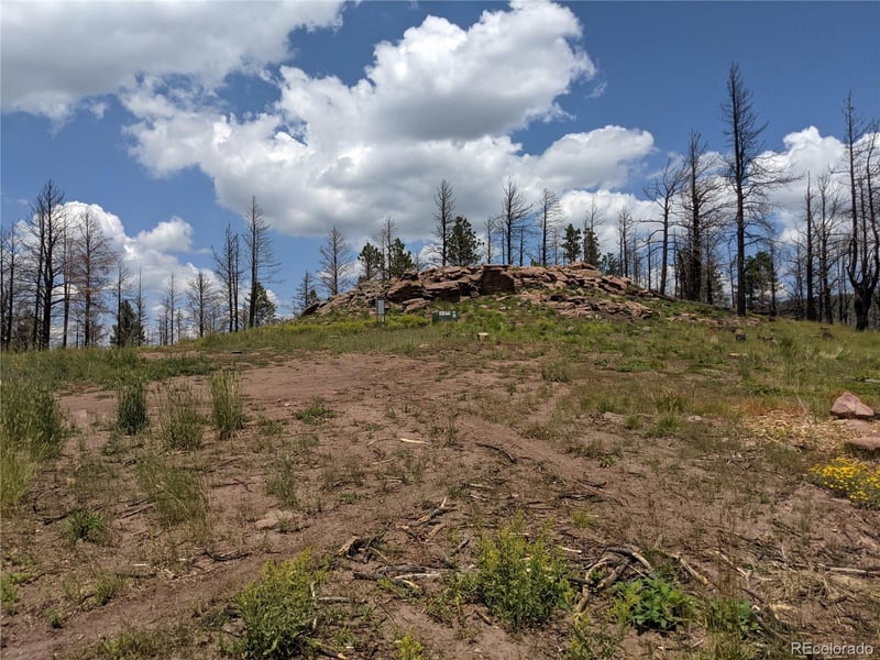 549-551 Drevs Pl Lot 549, 550, 551, Fort Garland, CO 81133