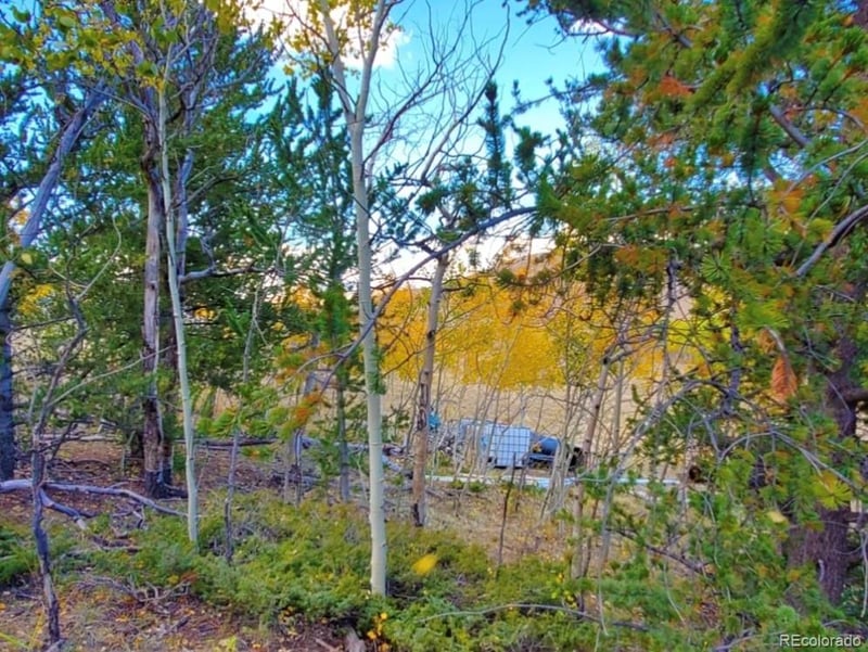 2000 Hard Hickory Trl Lot 4180, Guffey, CO 80820