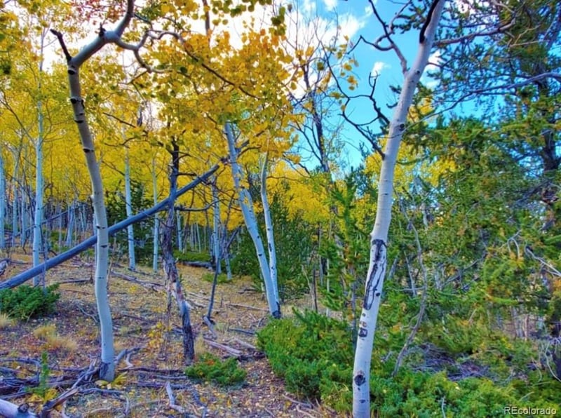 2000 Hard Hickory Trl Lot 4180, Guffey, CO 80820