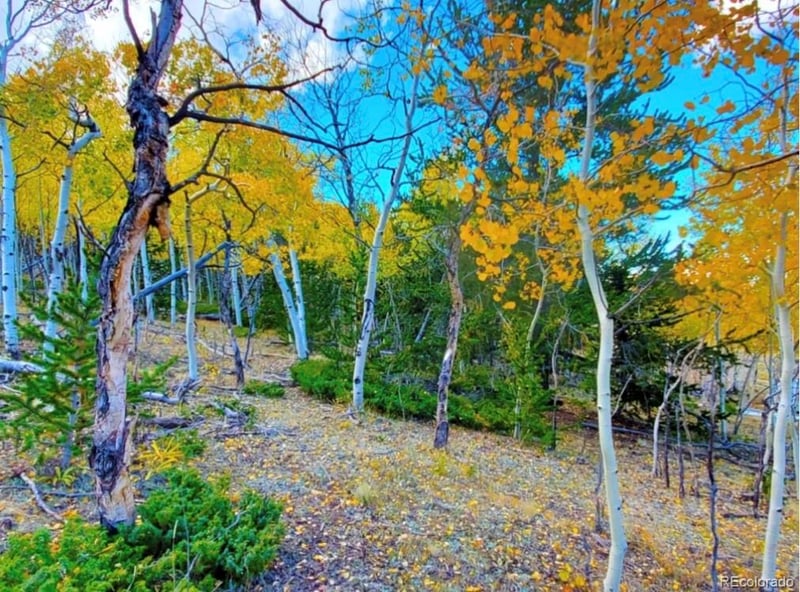 2000 Hard Hickory Trl Lot 4180, Guffey, CO 80820