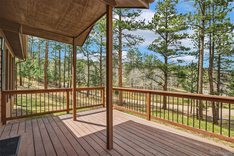 14 Aspen Dr, Bailey, CO 80421