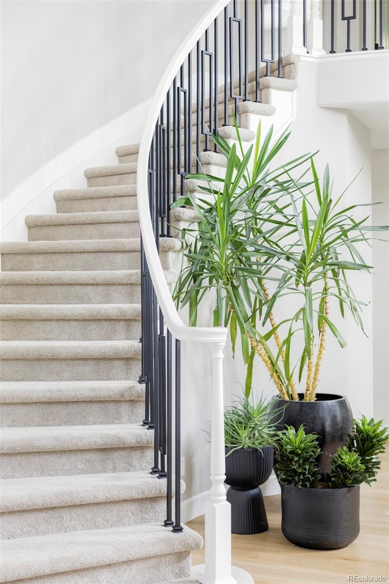 9231 Aspen Creek Way, Highlands Ranch, CO 80129