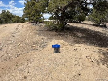 10314 Rawhide Creek Rd, Nathrop, CO 81236