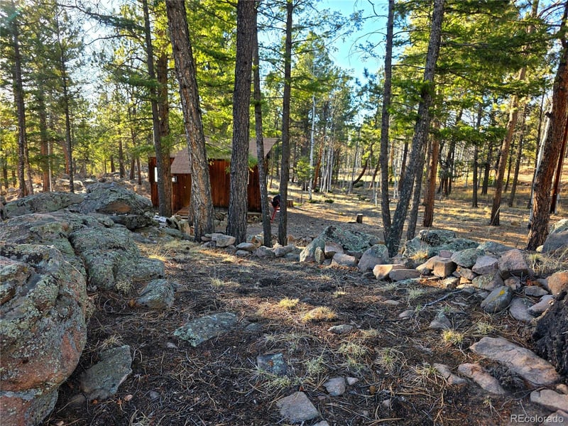 2063 Vagabond Creek Dr, Lake George, CO 80827