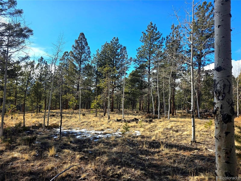 2063 Vagabond Creek Dr, Lake George, CO 80827