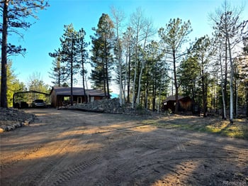 2063 Vagabond Creek Dr, Lake George, CO 80827