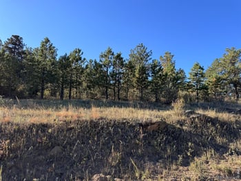 938 Snow Top Dr, Drake, CO 80515