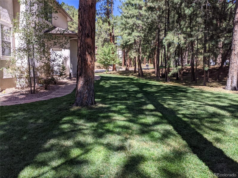 19015 Royal Archers Ln, Monument, CO 80132