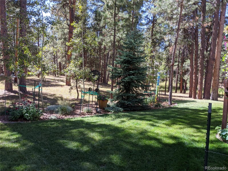 19015 Royal Archers Ln, Monument, CO 80132