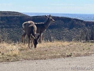 4000 Fawn Trl, Loveland, CO 80537