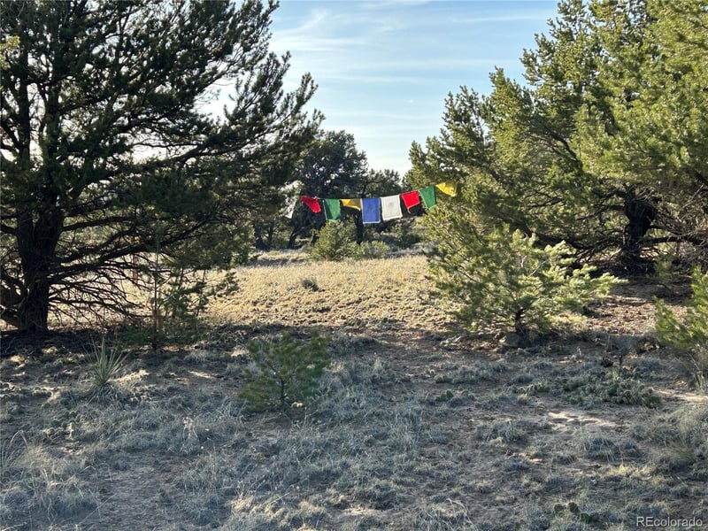 1933 Lone Pine Way, Crestone, CO 81131