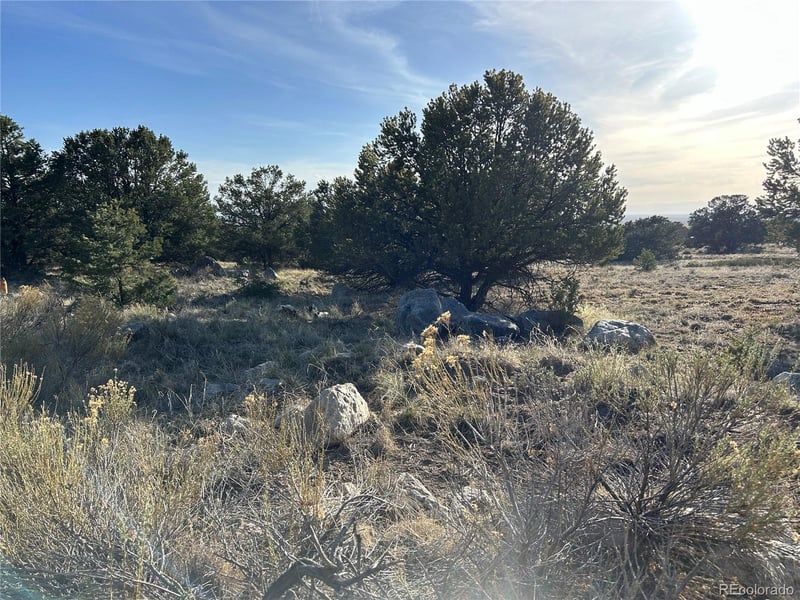 1933 Lone Pine Way, Crestone, CO 81131