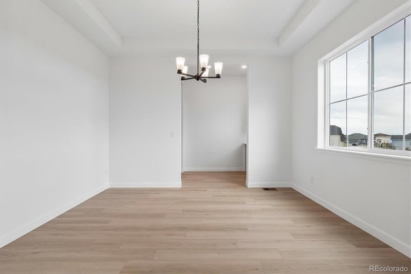 1715 Green Fern Point, Castle Rock, CO 80104