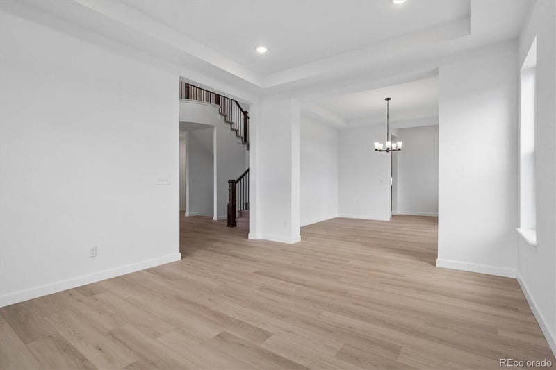 1715 Green Fern Point, Castle Rock, CO 80104