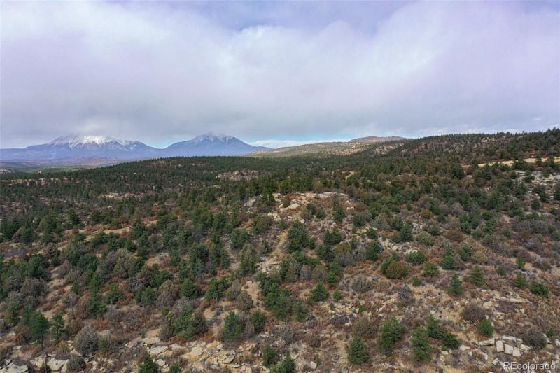 15585 Arrowhead Rd, Weston, CO 81091