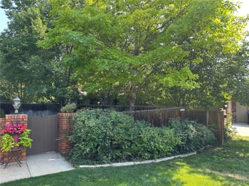 7865 80th Cir, Arvada, CO 80005