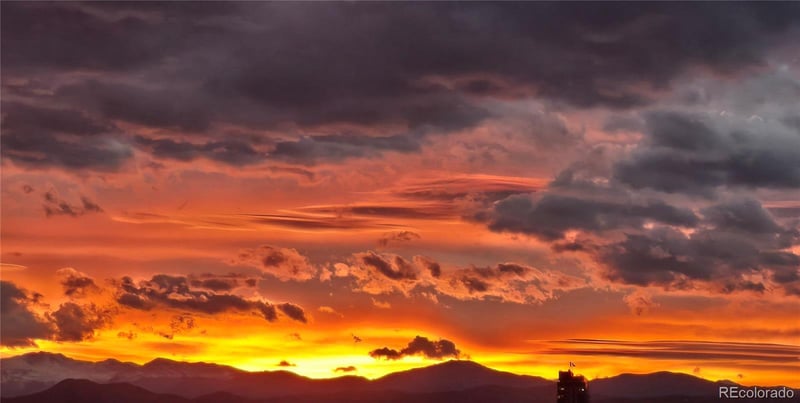 2 Adams #905, Denver, CO 80206