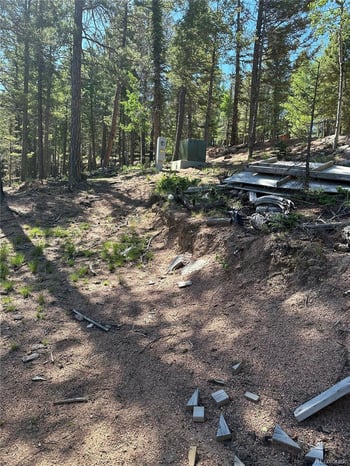 67 Gerka Ln, Florissant, CO 80816