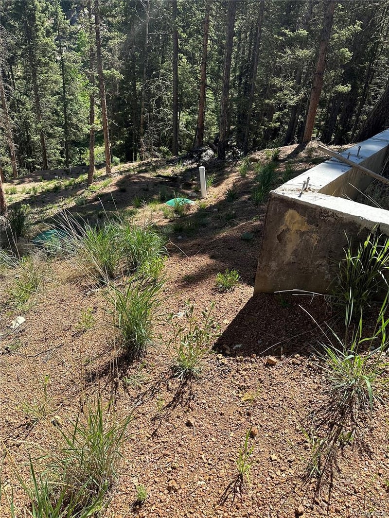 67 Gerka Ln, Florissant, CO 80816