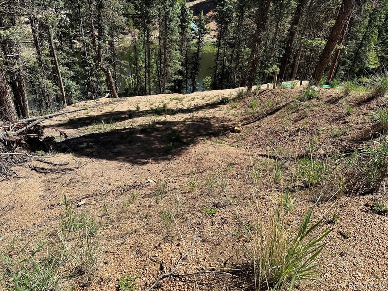 67 Gerka Ln, Florissant, CO 80816