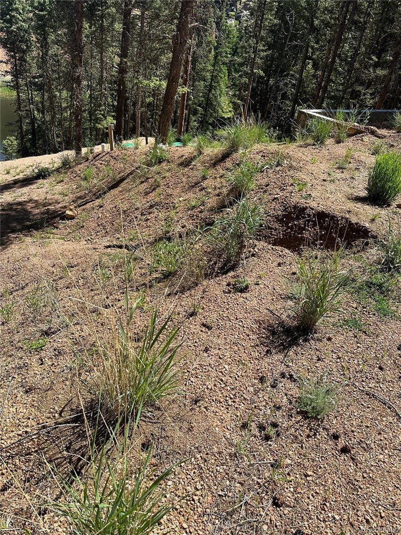 67 Gerka Ln, Florissant, CO 80816