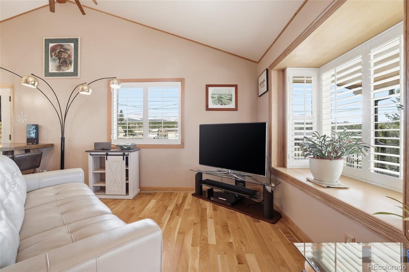 10 Marshal Duggan Dr, Leadville, CO 80461