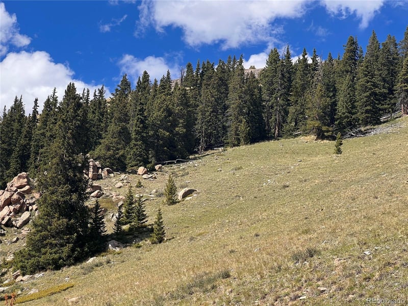 10448 Bank Statement, Leadville, CO 80461