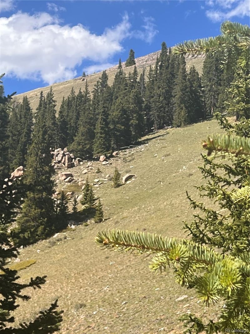 10448 Bank Statement, Leadville, CO 80461