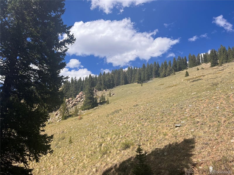 10448 Bank Statement, Leadville, CO 80461