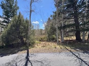 400 Fox Acres Dr, Red Feather Lakes, CO 80545