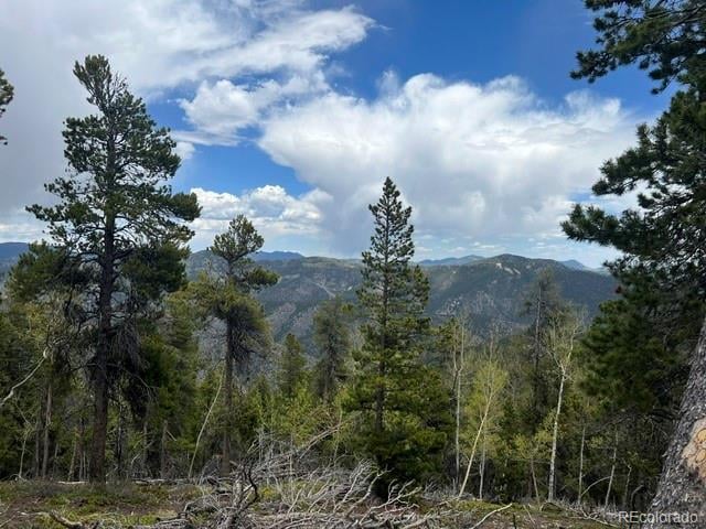 002 Sunny Skies Trl, Idaho Springs, CO 80452