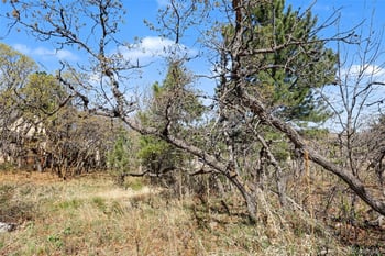 135 Chantrey Ct, Colorado Springs, CO 80906