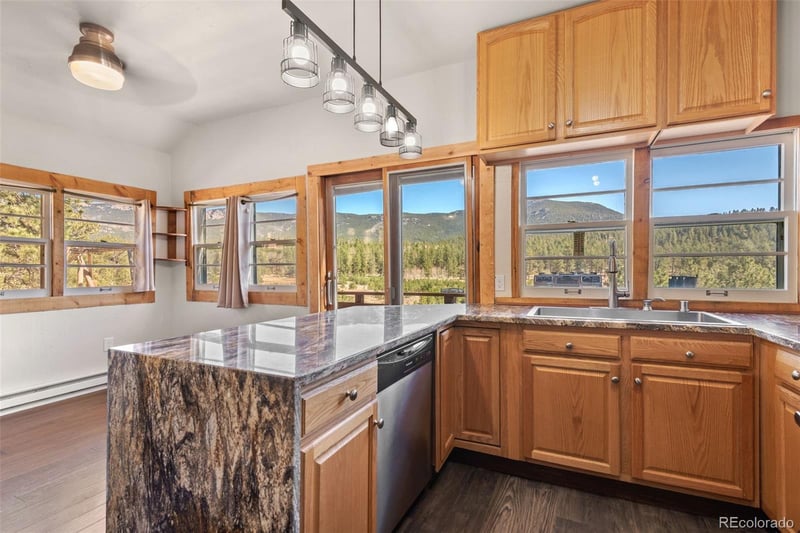 88 Neal St, Bailey, CO 80421