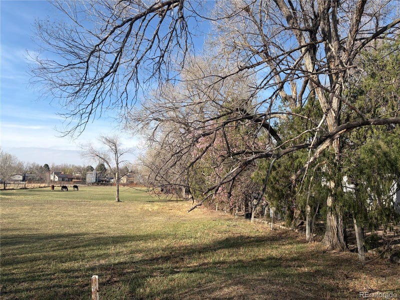 6962 Ingalls St, Arvada, CO 80003