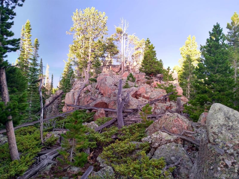 3765 Forest Road 195, Red Feather Lakes, CO 80545