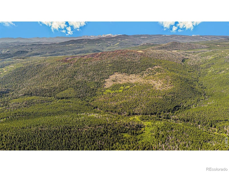 3765 Forest Road 195, Red Feather Lakes, CO 80545