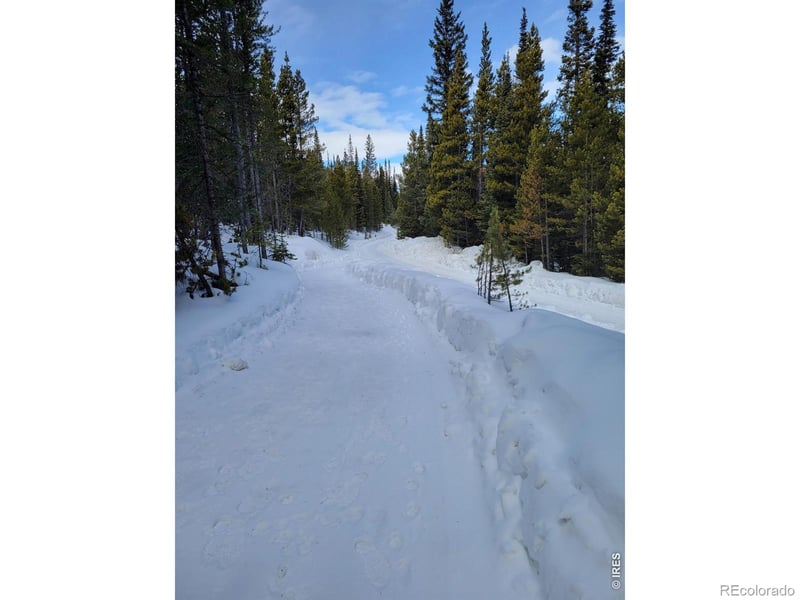 3765 Forest Road 195, Red Feather Lakes, CO 80545