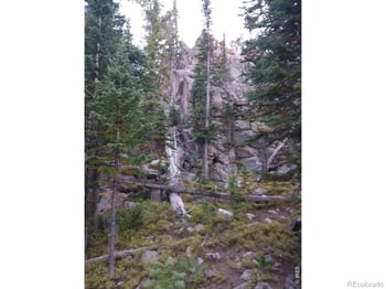 3765 Forest Road 195, Red Feather Lakes, CO 80545