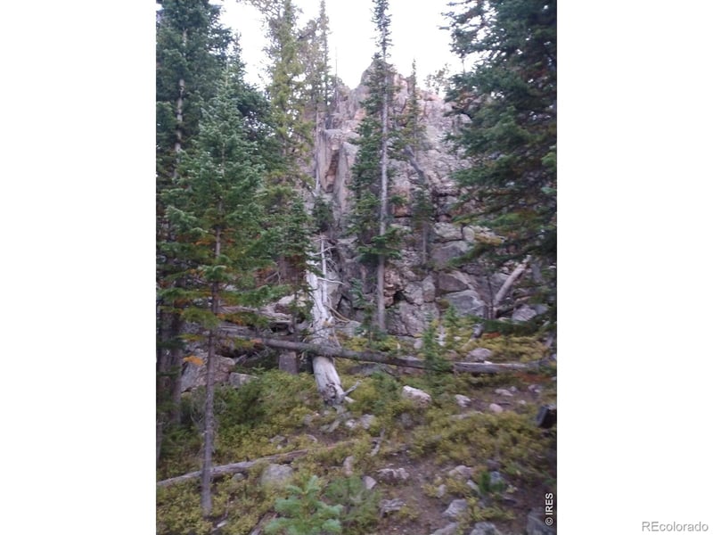 3765 Forest Road 195, Red Feather Lakes, CO 80545