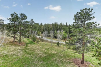 9053 Gray Fox Dr, Evergreen, CO 80439