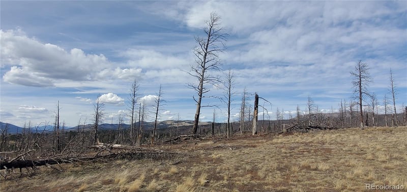 Lot 1227 Granville Loop, Fort Garland, CO 81133