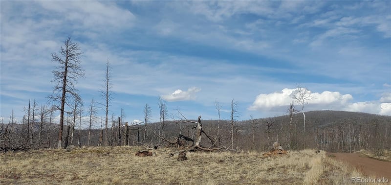 Lot 1227 Granville Loop, Fort Garland, CO 81133
