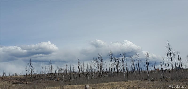 Lot 1227 Granville Loop Lot 1227, Fort Garland, CO 81133