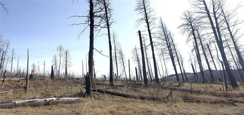 Lot 1224 Emery Loop, Fort Garland, CO 81133